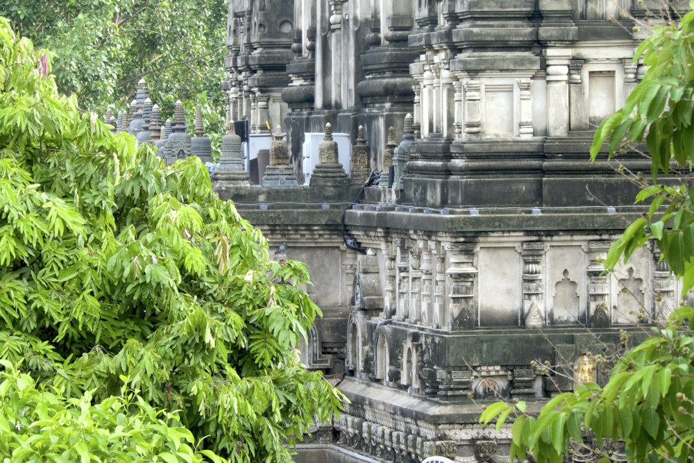 The Mahabodhi Temple amid the trees, Bodhgaya