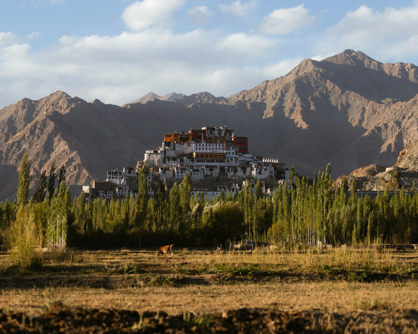 Thiksey Monastery