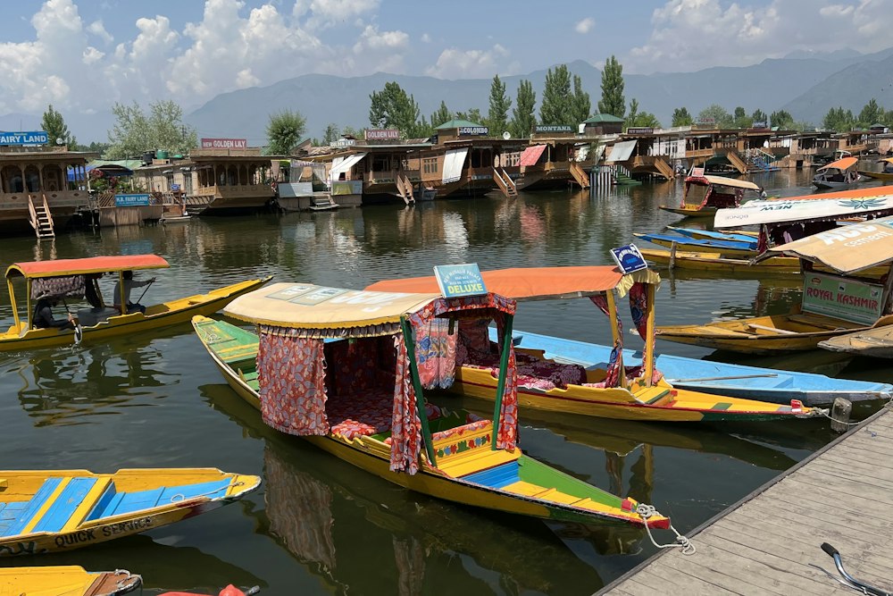 Shikaras on Dal Lake