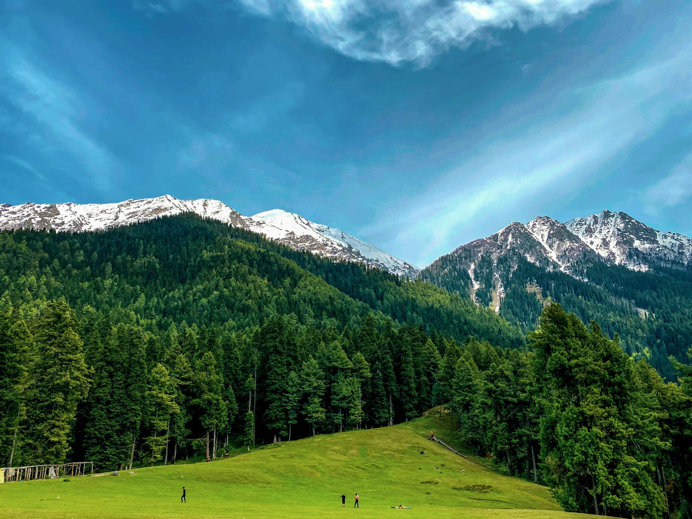 Pahalgam meadows