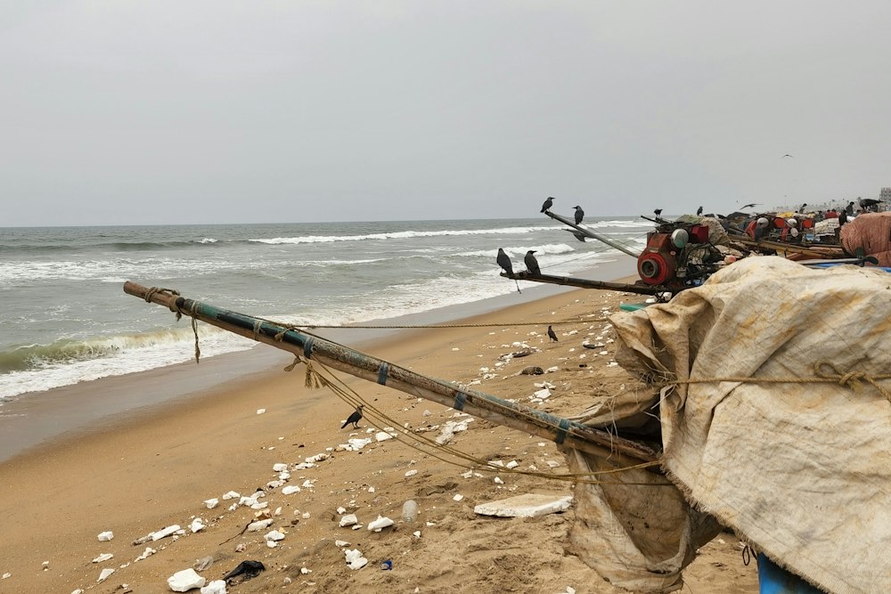 Marina Beach, Chennai